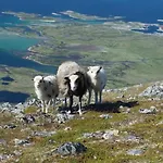 בקתה Lofoten Midnightsun