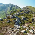 Lofoten Midnightsun בקתה *