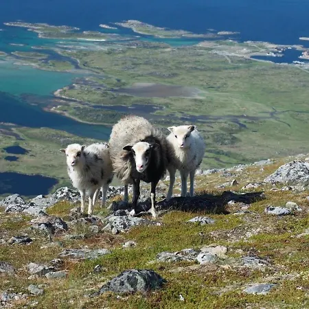 Horská chata Lofoten Midnightsun