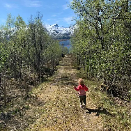 Lofoten Midnightsun * Sandsletta