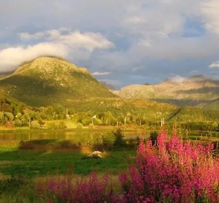 Lofoten Midnightsun 木屋 *