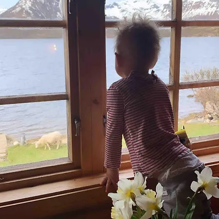 Horská chata Lofoten Midnightsun *