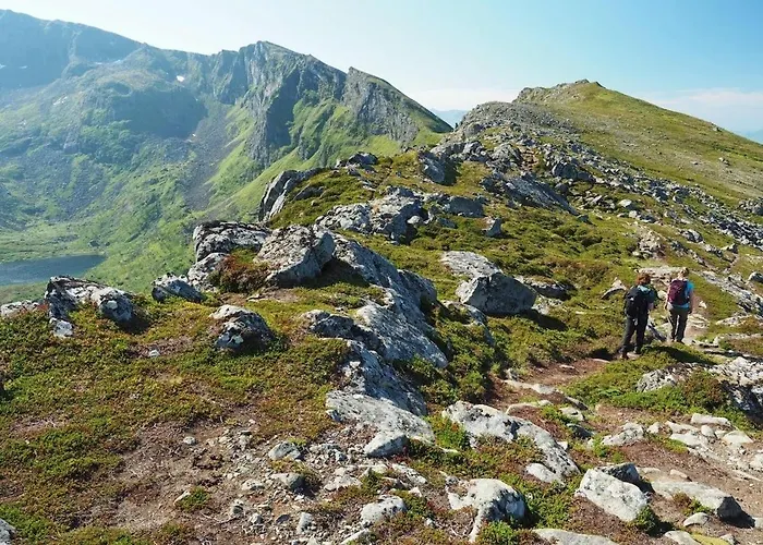 Lofoten Midnightsun 샬레 *