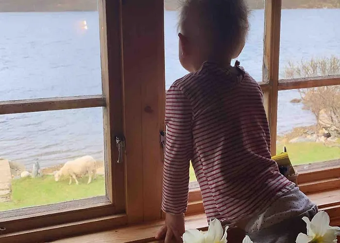 Domek alpejski Lofoten Midnightsun *